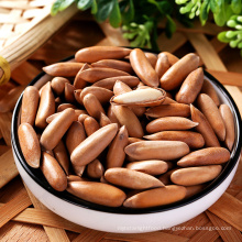 Wholesale Chinese Organic Healthy Pine Nuts For Sale